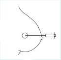 fine-needle-biobsy