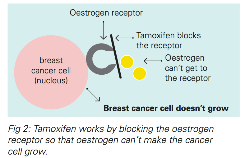 Breast Cancer After Menopause