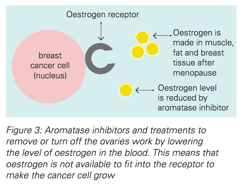 Hormone Therapy for Breast Cancer: Types and More