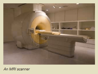 MRIScreening_figure2