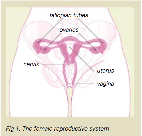 OvarianCancer_Figure1