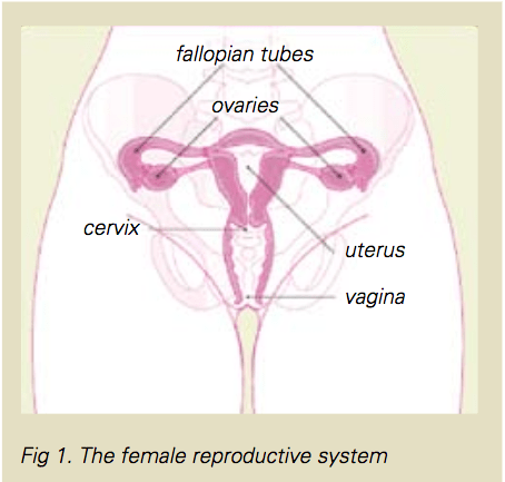 definition of malignant pleural effusion