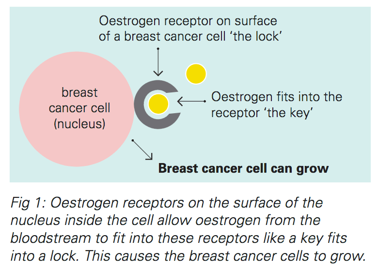 Ease Your Chemo Appointments for Metastatic Breast Cancer