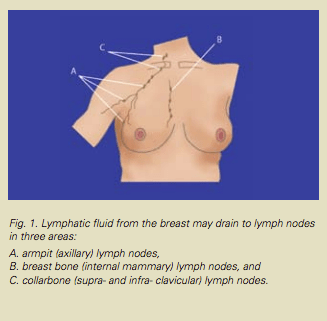 Sentinel-Figure1