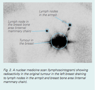 SentineNode-Figure2