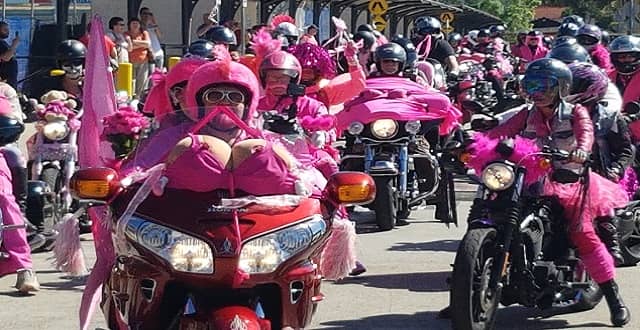 2016 pink ribbon motor cycle ride